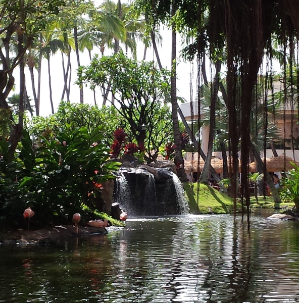 Flamingo Pool